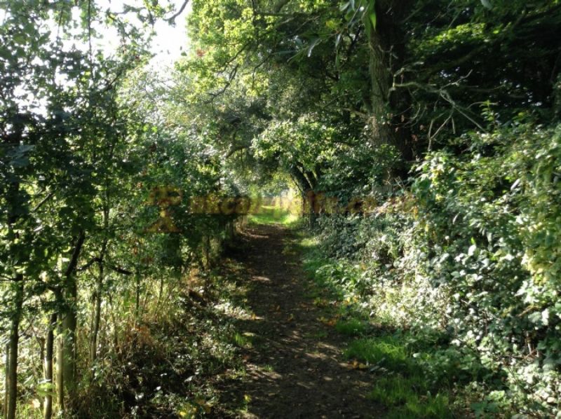 Hill Cottage Farm Camping And Caravan Park