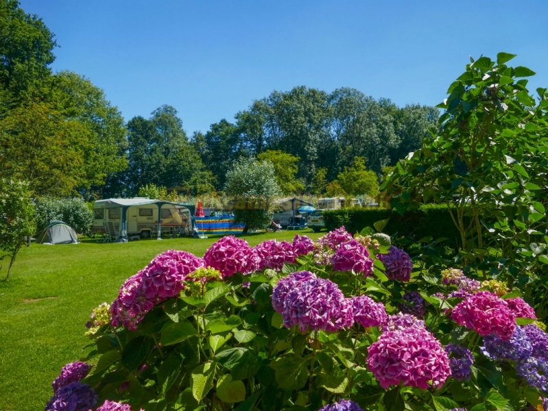 Camping Chateau Du Gandspette
