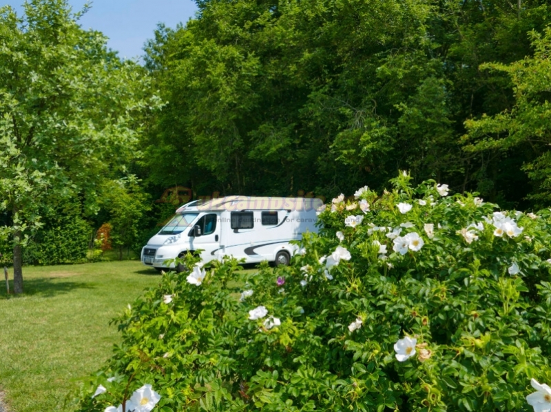 Camping Chateau Du Gandspette