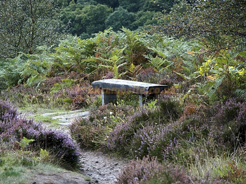 Stoneclose Campsite