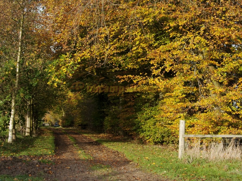 Stoneclose Campsite