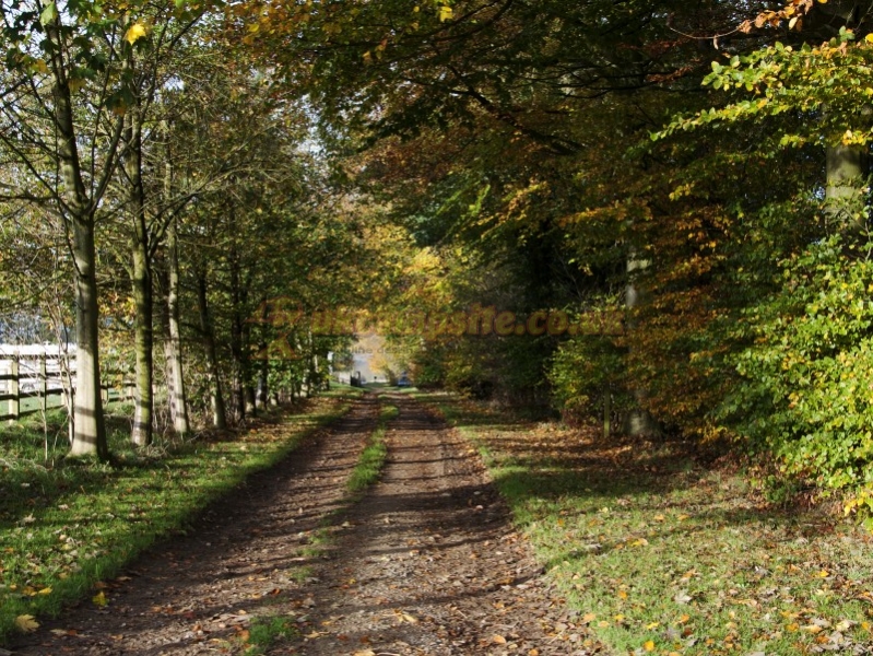 Stoneclose Campsite