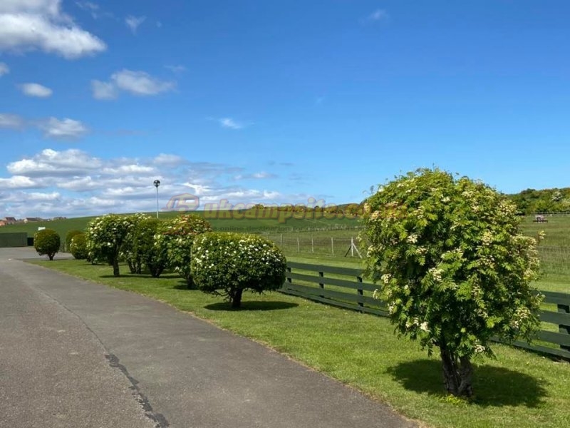 Browns Caravan Park