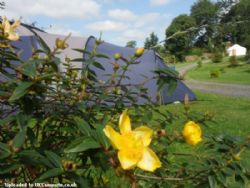East Crinnis Camping And Caravan Park