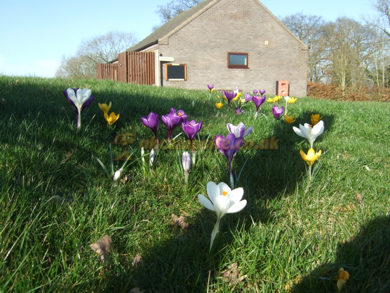 New Hall Farm