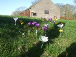 New Hall Farm