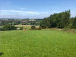 New Hall Farm