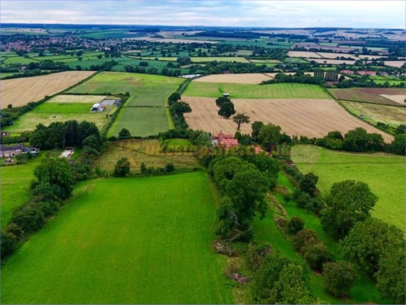 New Hall Farm