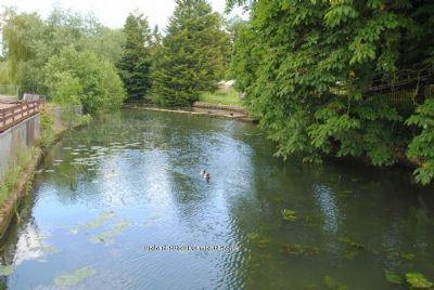 Wicksteed Park Campsite