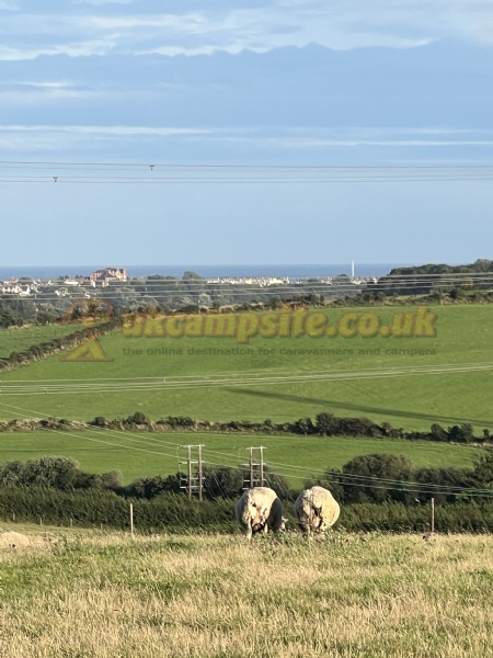 South Buckland Farm Caravan Site