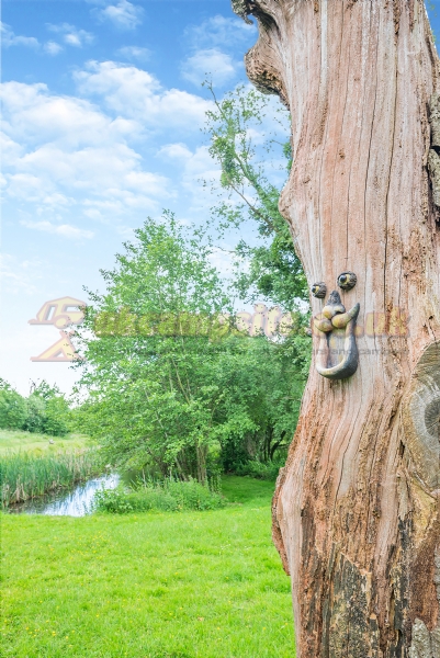 Woodside Country Park