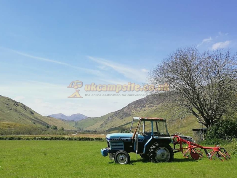 Moyle Park Campsite