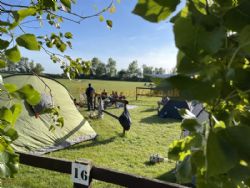 Romney Meadows Caravan And Camping Park
