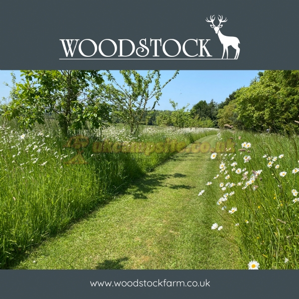 Woodstock Park