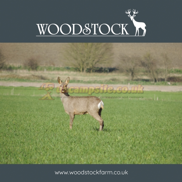 Woodstock Park
