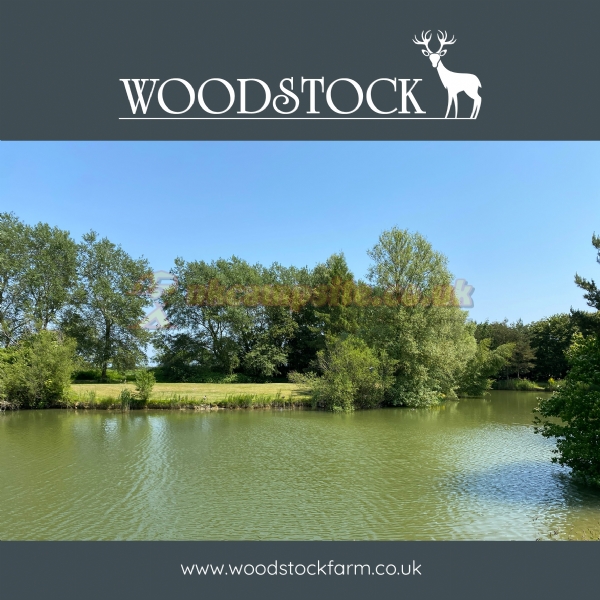 Woodstock Park