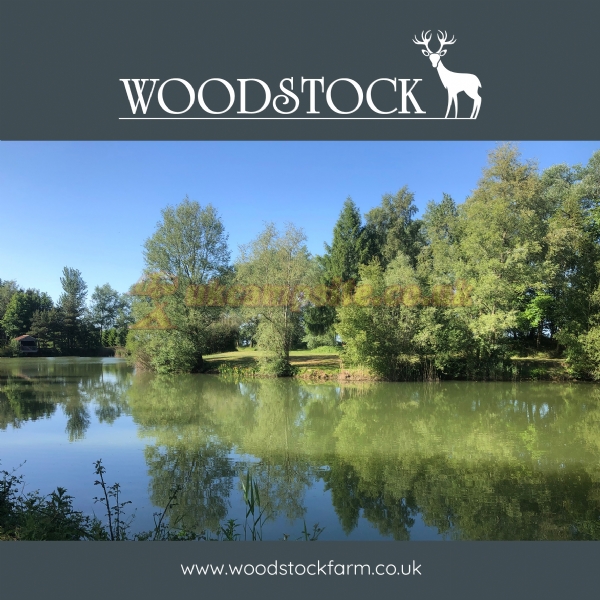 Woodstock Park