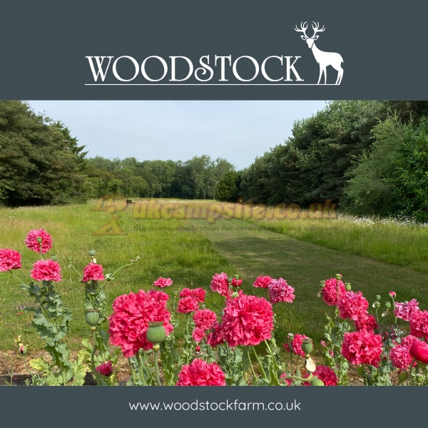 Woodstock Park