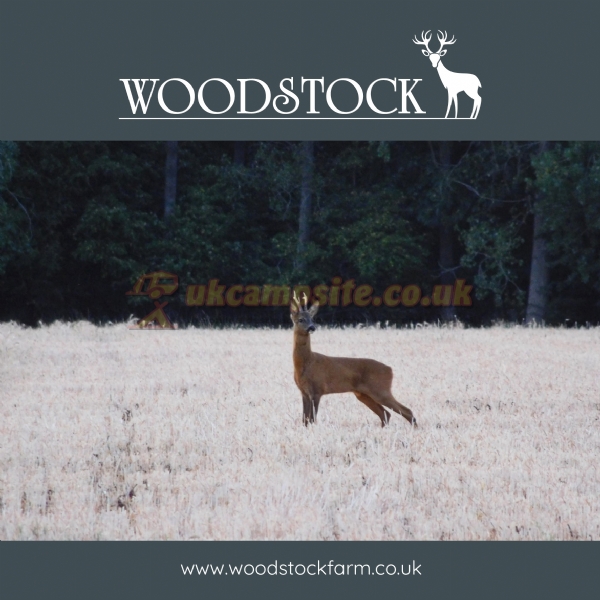 Woodstock Park