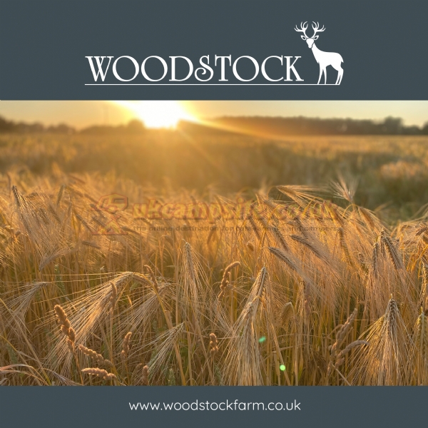 Woodstock Park
