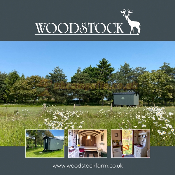 Woodstock Park