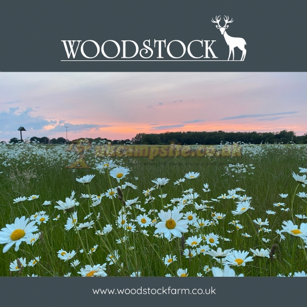 Woodstock Park