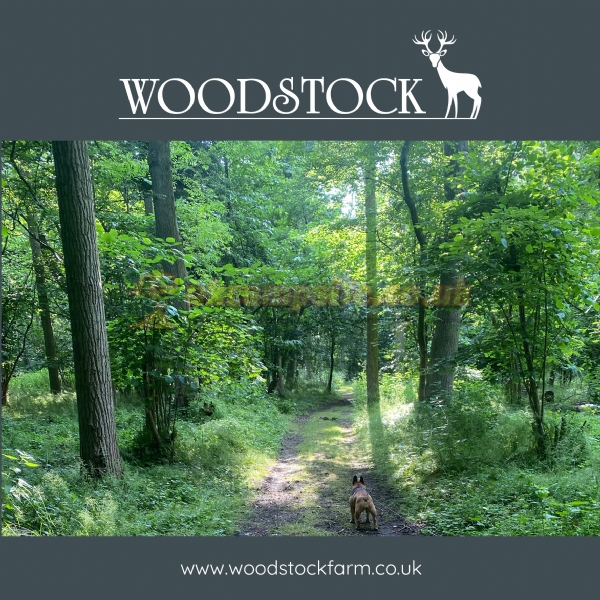 Woodstock Park