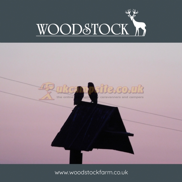 Woodstock Park