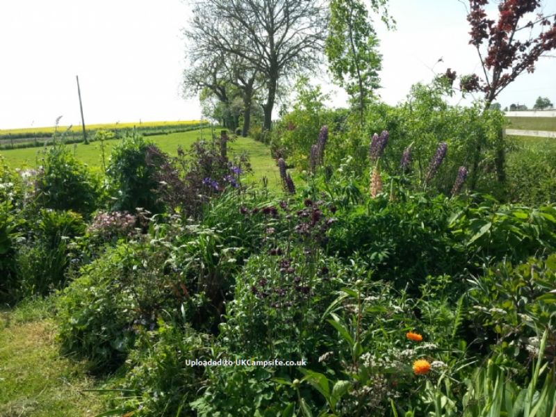 Barff Farm Fenside Certified Location