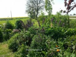 Barff Farm Fenside Certified Location