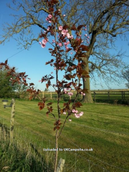 Barff Farm Fenside Certified Location