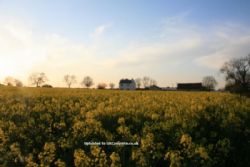 Barff Farm Fenside Certified Location