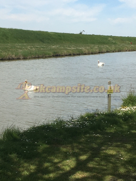 Riverside Village Holiday Park