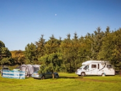 White Lea Farm Campsite