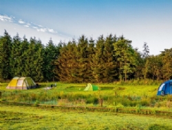 White Lea Farm Campsite