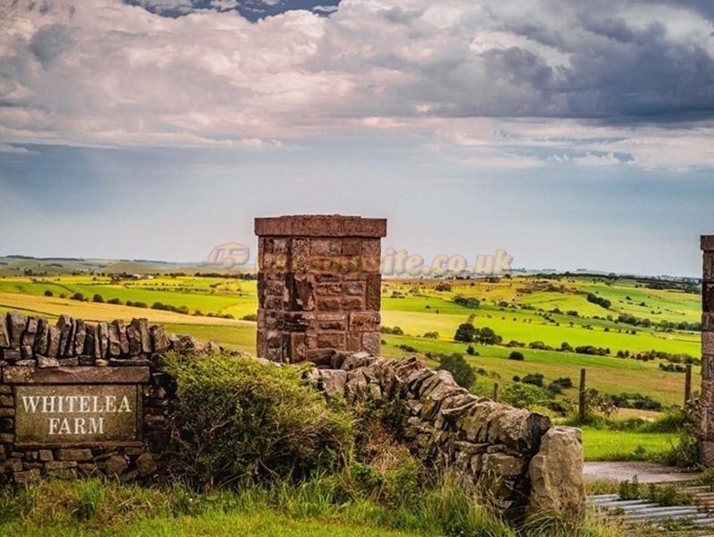 White Lea Farm Campsite