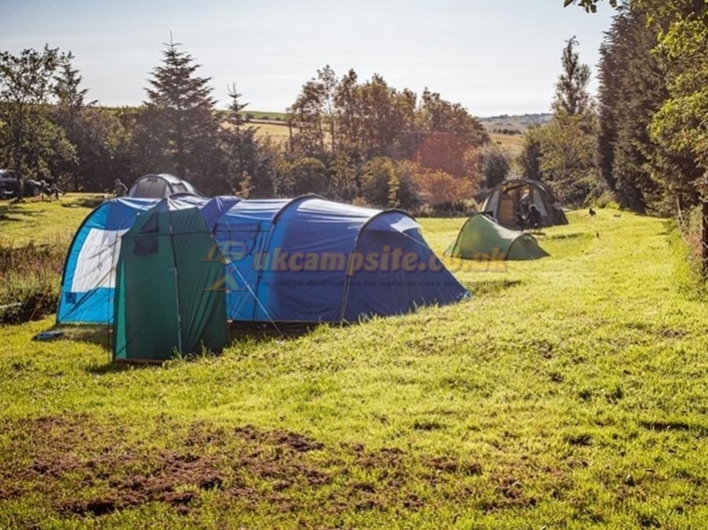 White Lea Farm Campsite