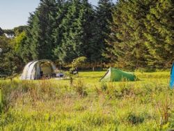White Lea Farm Campsite