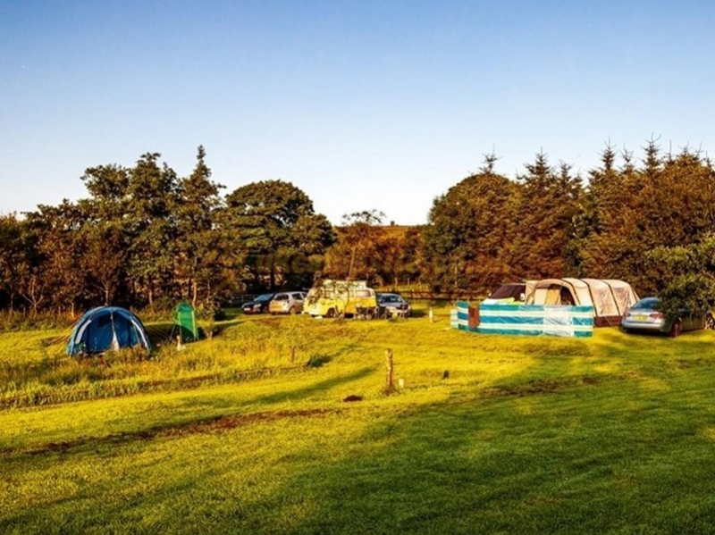 White Lea Farm Campsite