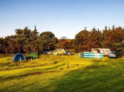White Lea Farm Campsite