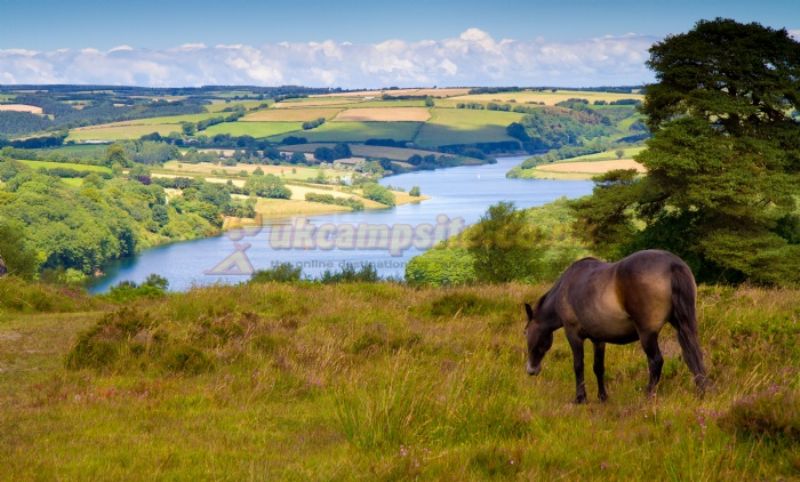Wimbleball Lake Campsite