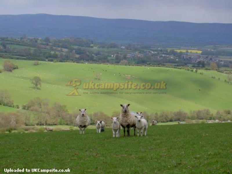 Middle Woodbatch Farm