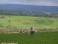Middle Woodbatch Farm