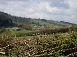 Middle Woodbatch Farm