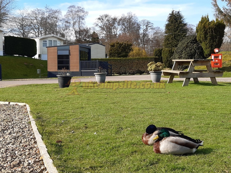 Deeside Holiday Park
