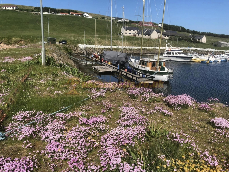 Skeld Caravan Park And Campsite