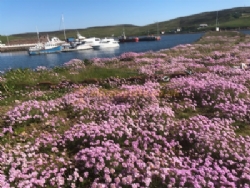 Skeld Caravan Park And Campsite