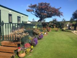 York House Hotel And Caravan Park