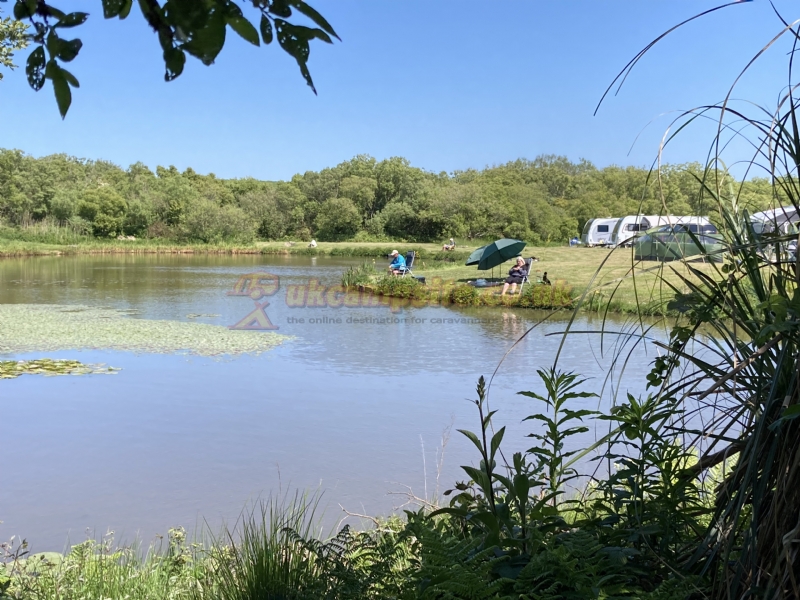 Yet Y Gors Fishery And Campsite