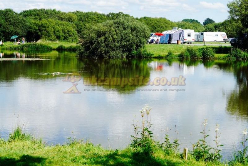 Yet Y Gors Fishery And Campsite